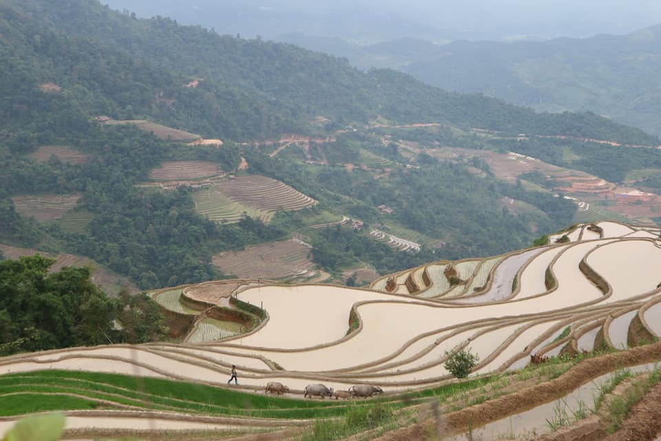 Thổ Địa Du Lịch Hà Giang