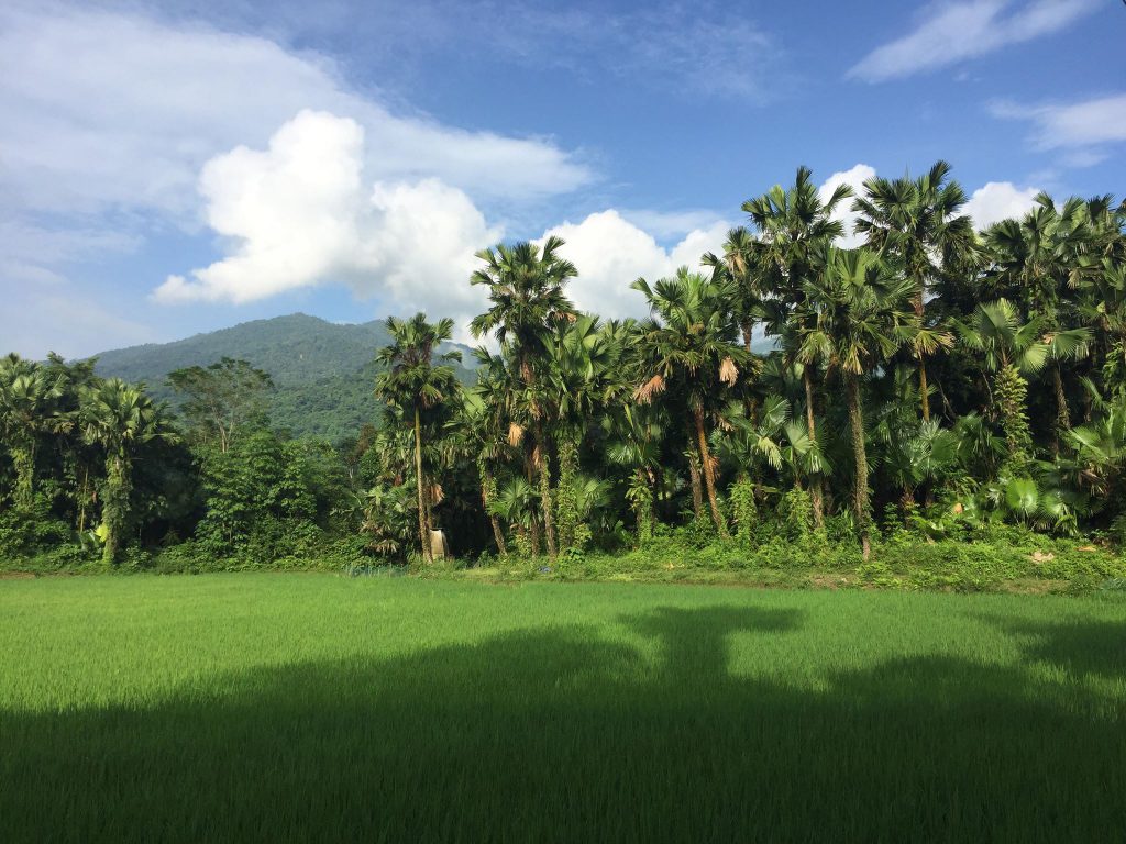 Thổ Địa Du Lịch Hà Giang