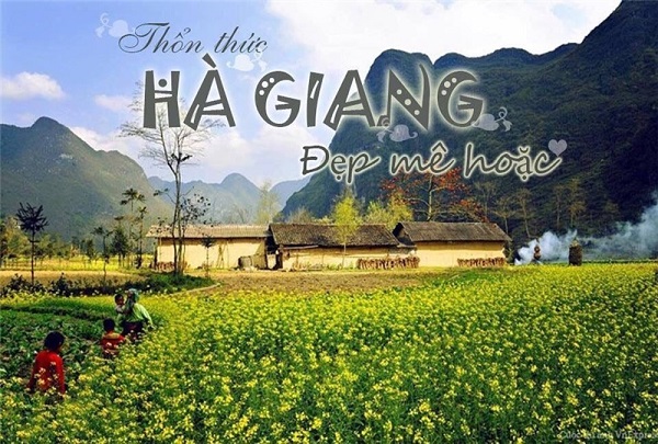 Tour du lịch Hà Giang 3 ngày 2 đêm Đặc Sắc từ Thổ Địa